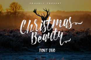 Christmas Beauty Display
