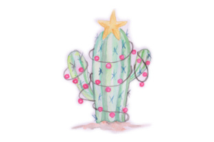 Christmas Cactus: A Visual Holiday Statement
